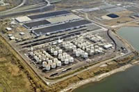 Member of National Biodiesel Board
